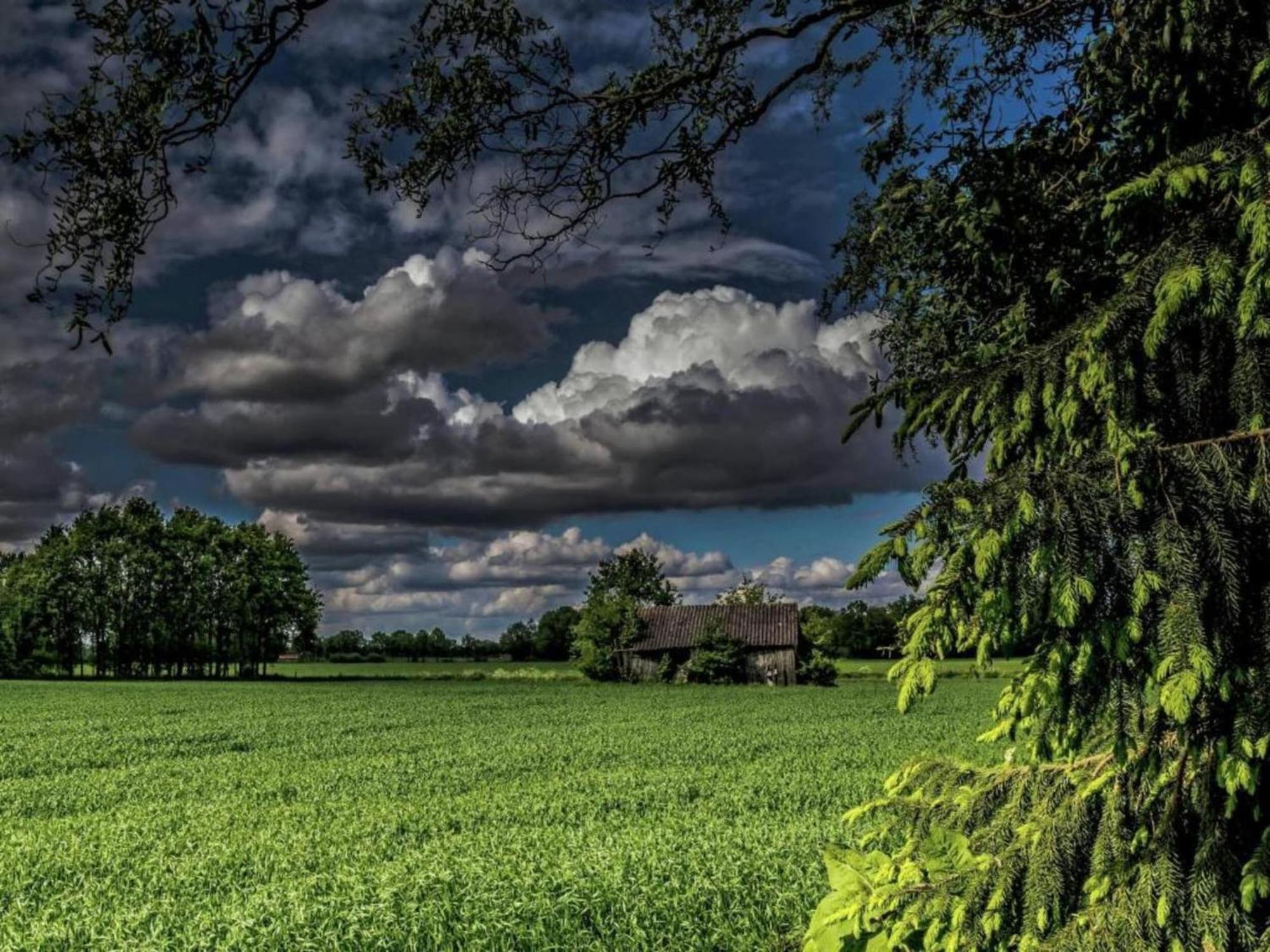 Staying In A Thatched Barn With Box Bed Beautiful View Region Achterhoek Geesteren  Exteriér fotografie